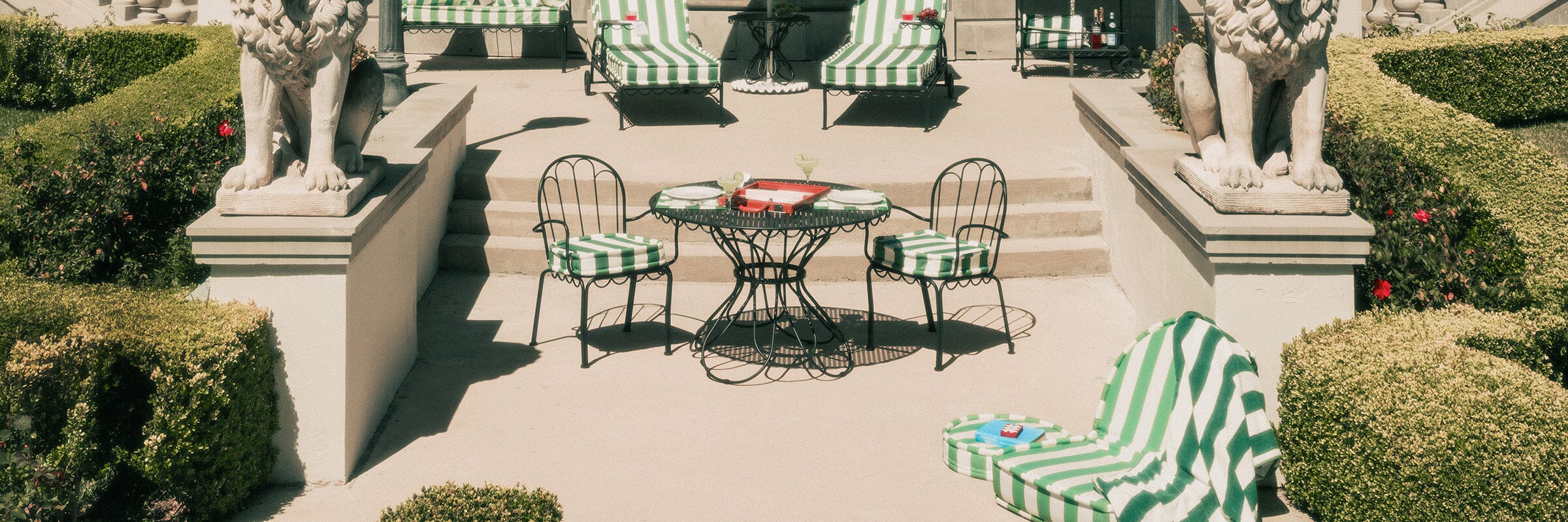 Dining Chairs