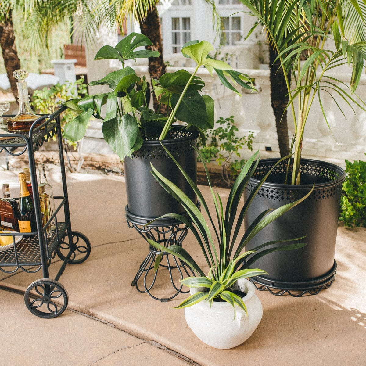 Al Fresco Small Planter & Stand - Vintage Black Al Fresco Planter Business & Pleasure Co.