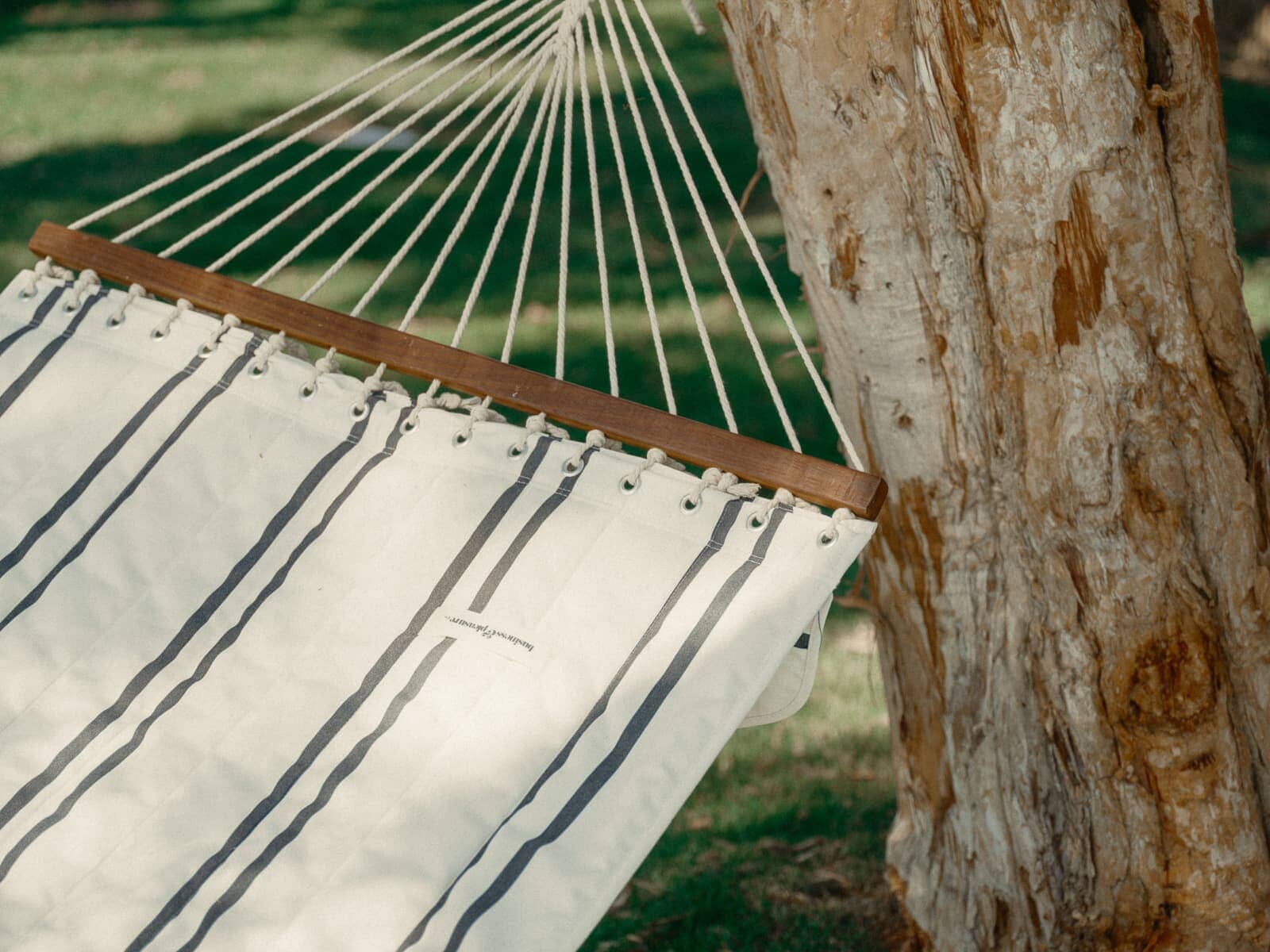 close up of black stripe hammock on tree