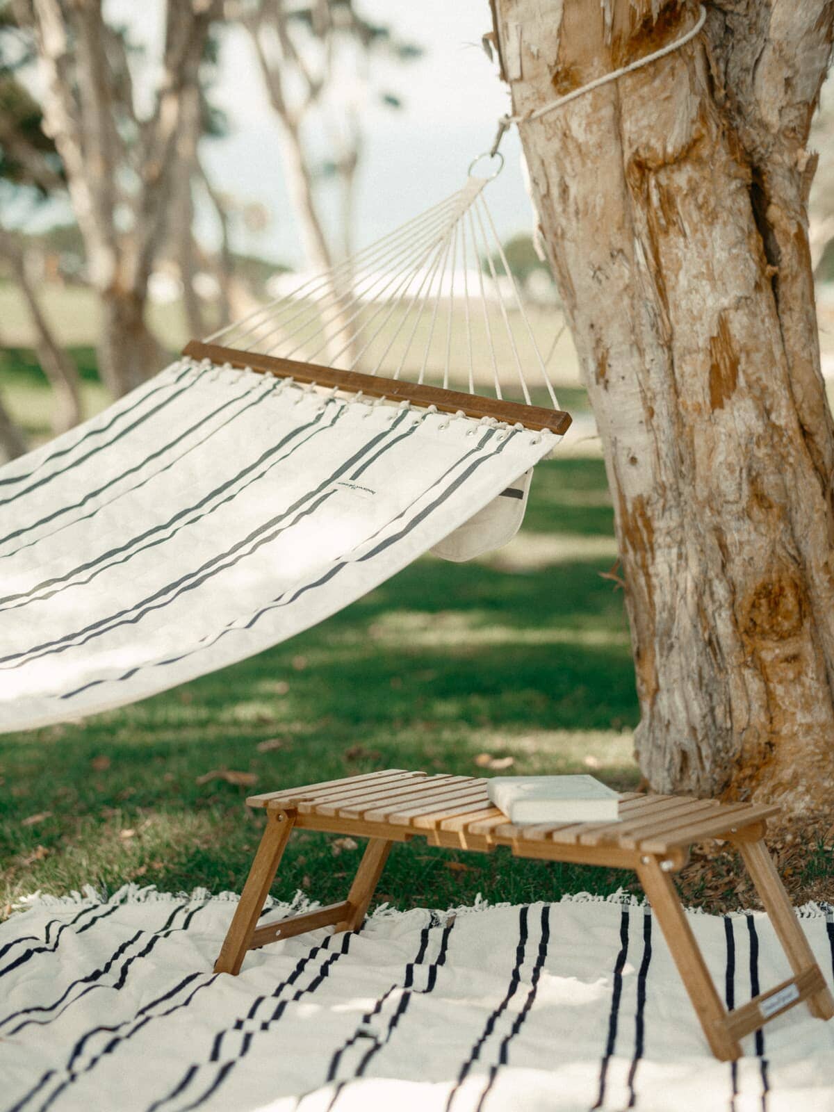 hammock on tree with wooden table and blanket underneath