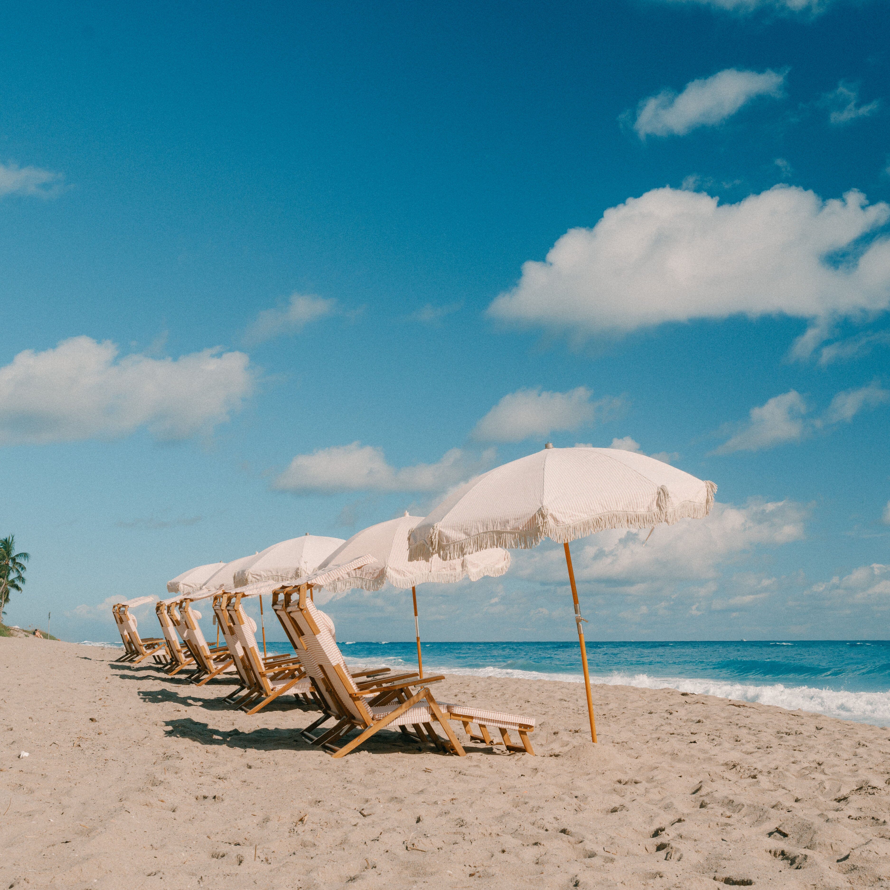 The Club Chair - Teak Natural - Lauren's Pink Stripe Club Chair Business & Pleasure Co.