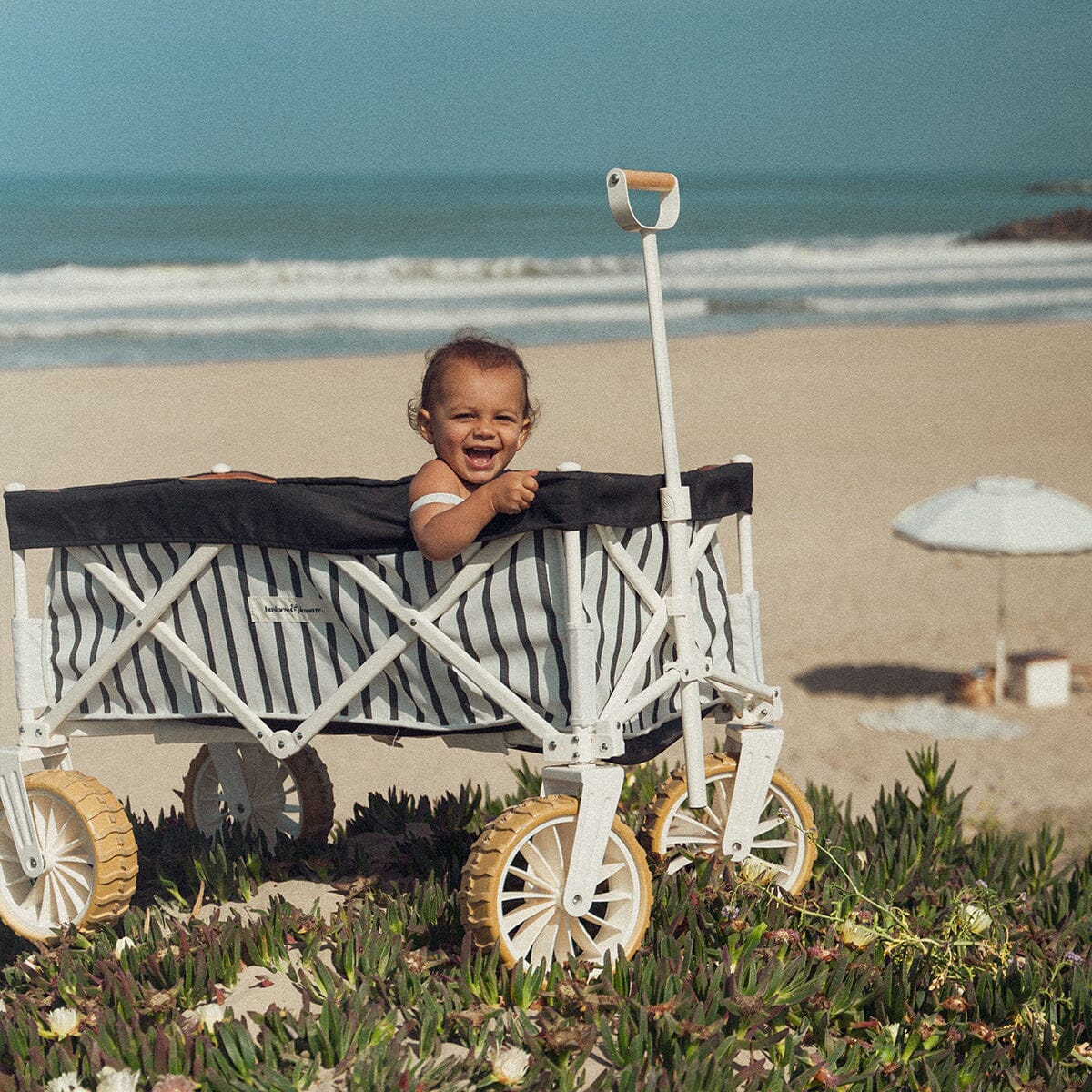 The Beach Cart - Monaco Black Stripe Beach Cart Business & Pleasure Co
