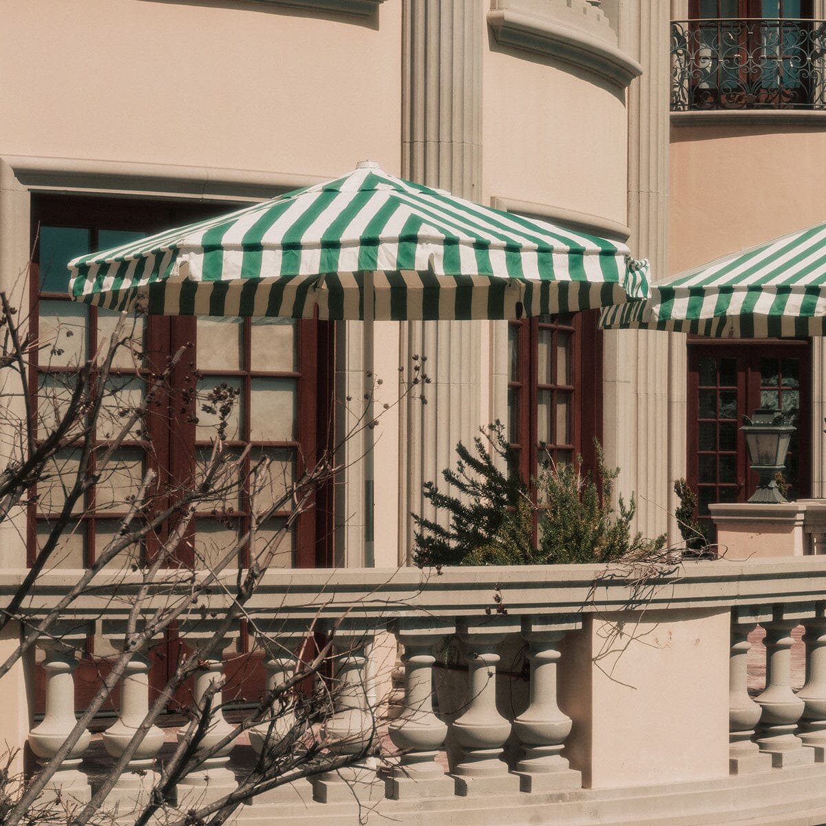 The Market Umbrella - Crew Canyon Green Stripe Market Umbrella Business & Pleasure Co.