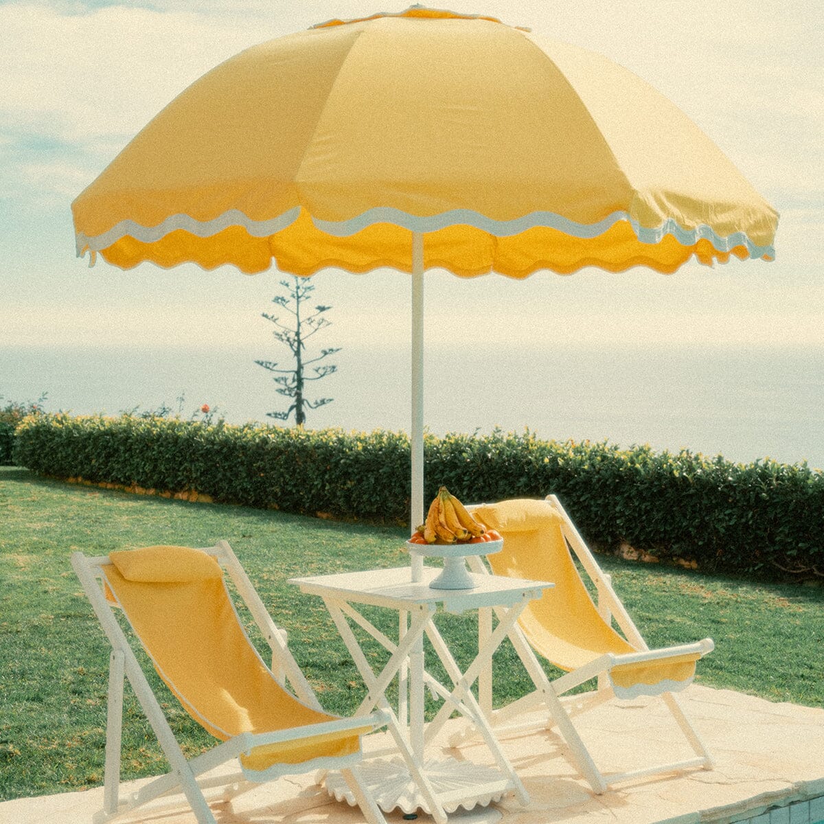 The Patio Umbrella - Rivie Mimosa Patio Umbrella Business & Pleasure Co.