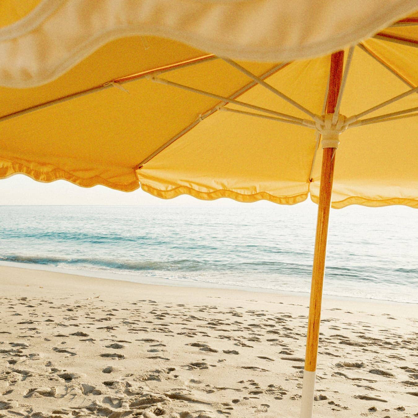 Riviera mimosa umbrella on the beach
