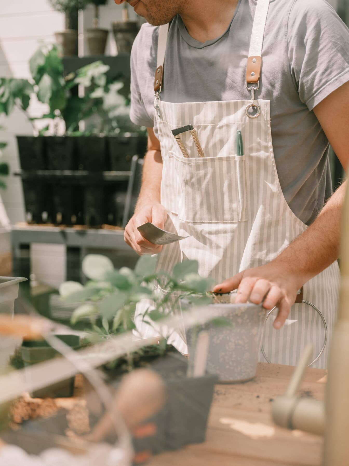 gardener in a potting shed wearing sage apron