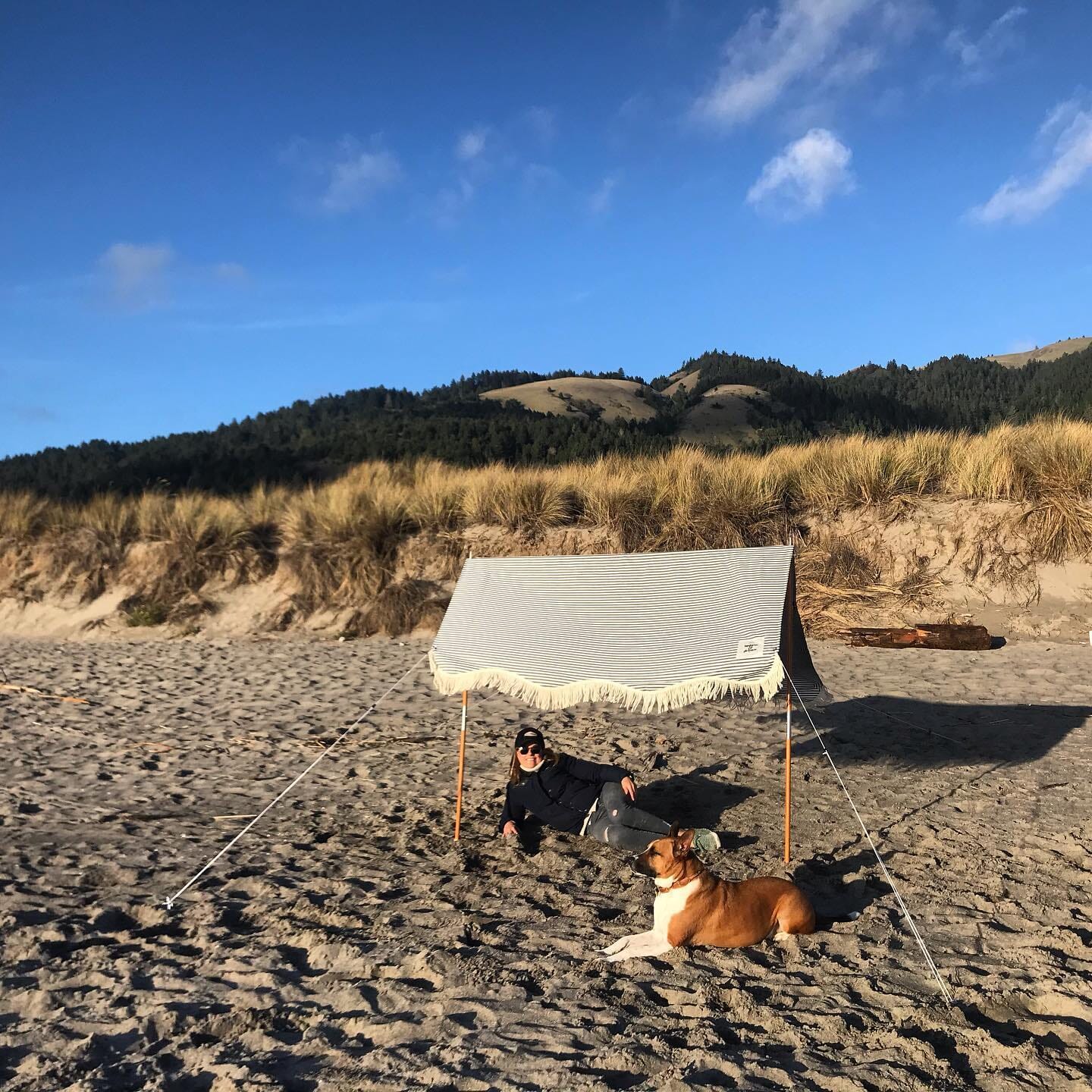 The Premium Beach Tent - Lauren's Navy Stripe Premium Beach Tent Business & Pleasure Co