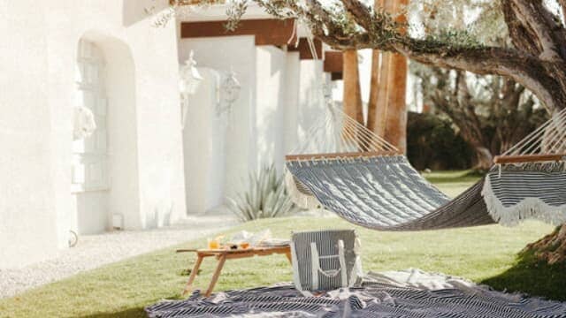 The Garden Edit - Business & Pleasure Co.
