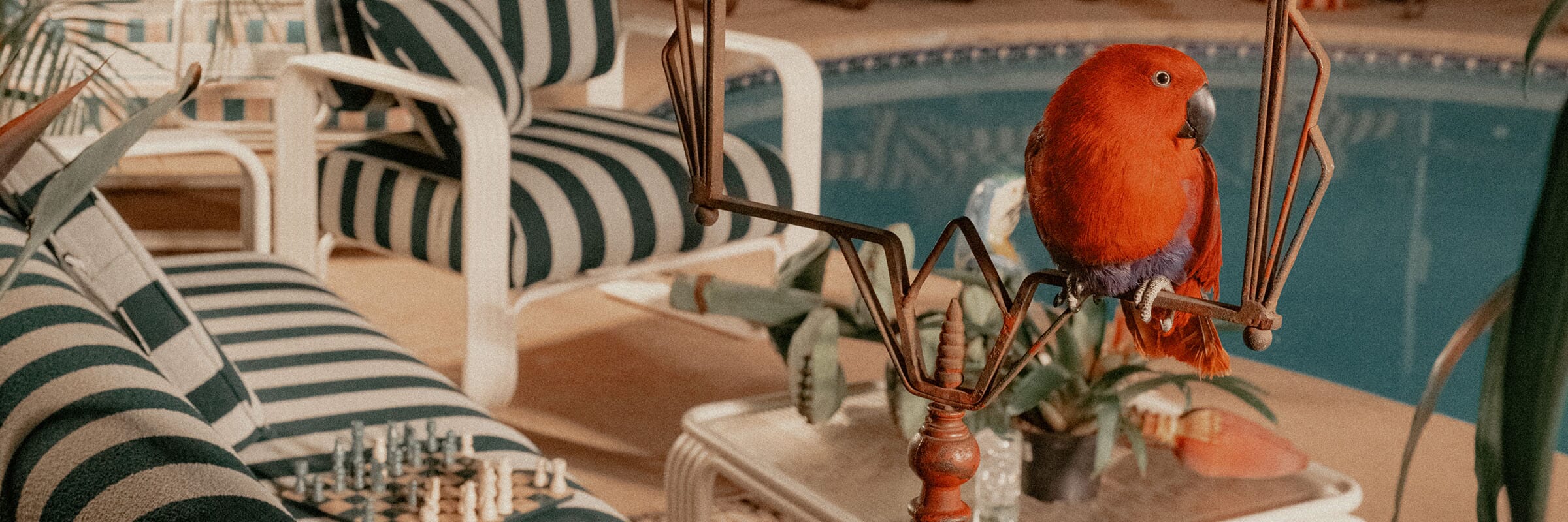 Poolside Collection