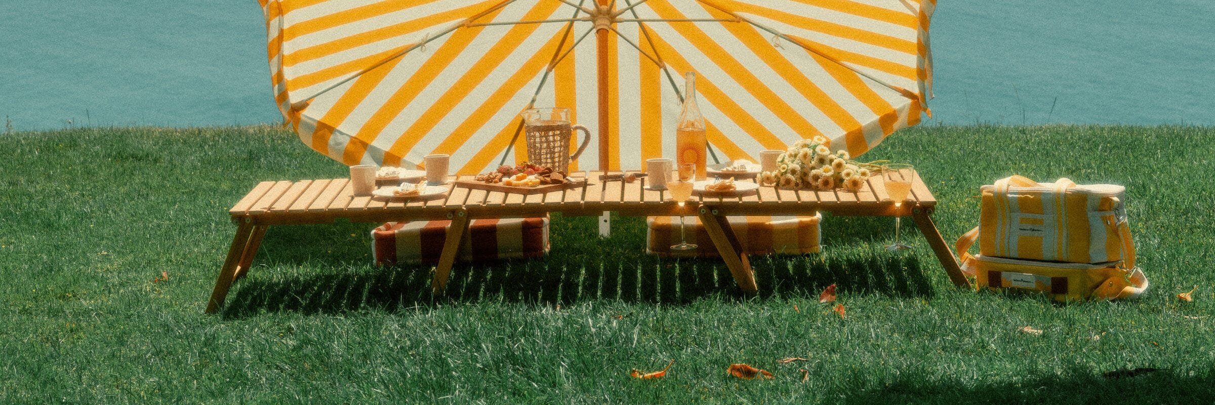 Picnic Essentials