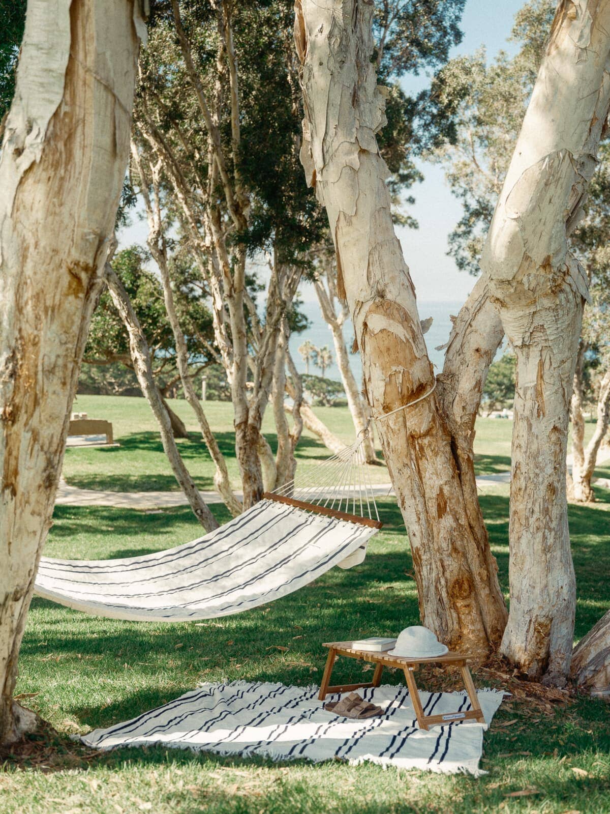 black striped hammock hanging between two trees with small table and blanket on grass