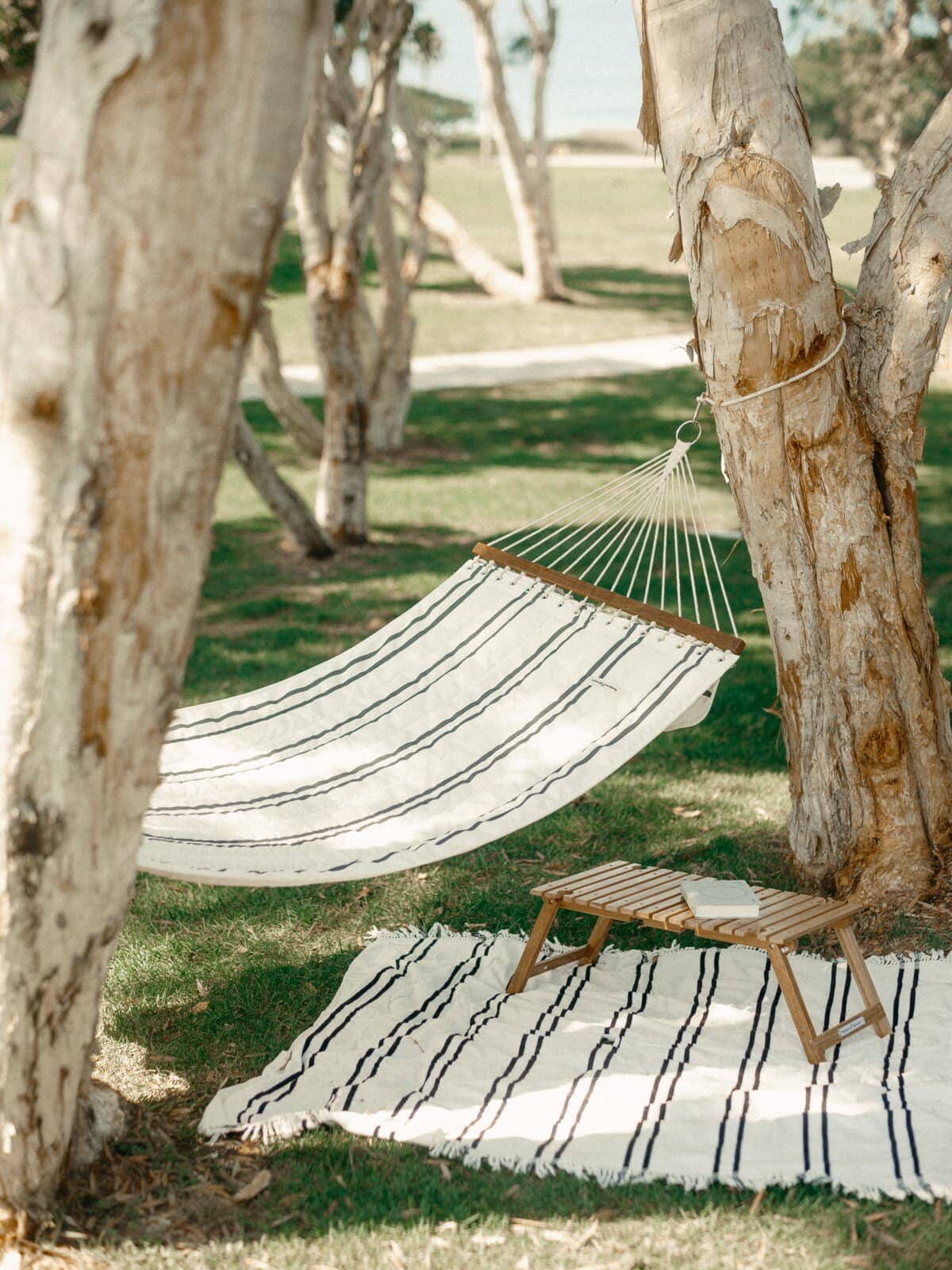 black and white hammock with table under tree on grass