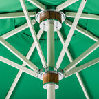 The Resort Market Umbrella in Border Valance Canyon Green | 12' Antique White Frame Bundle Business & Pleasure Co. 