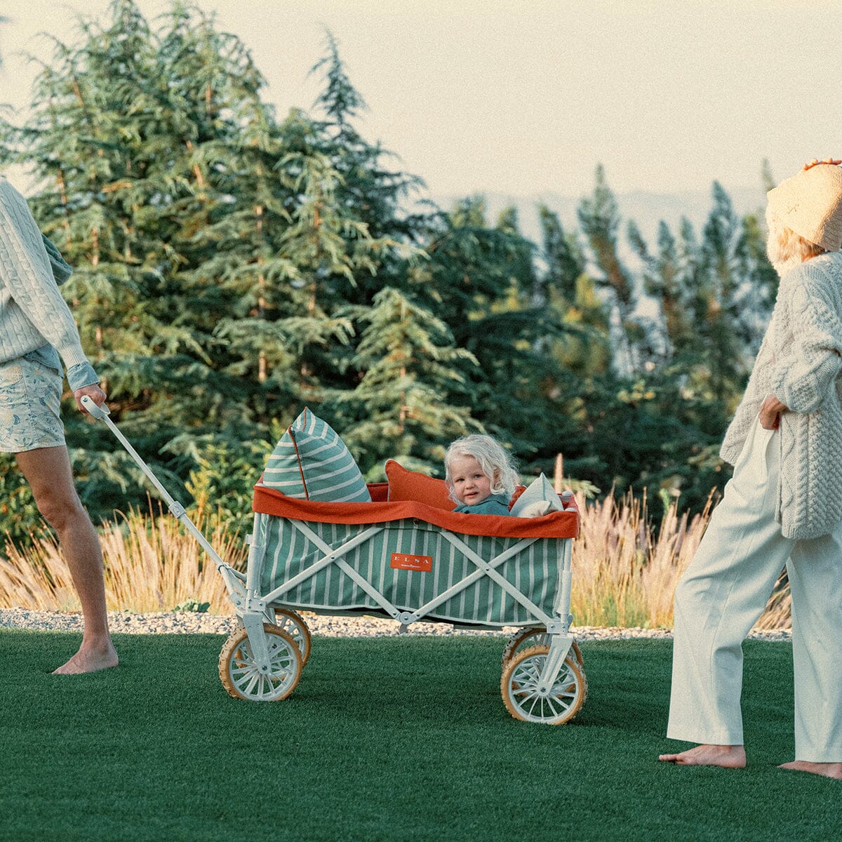 The Beach Cart - Elsa Stripe Beach Cart Business & Pleasure Co 