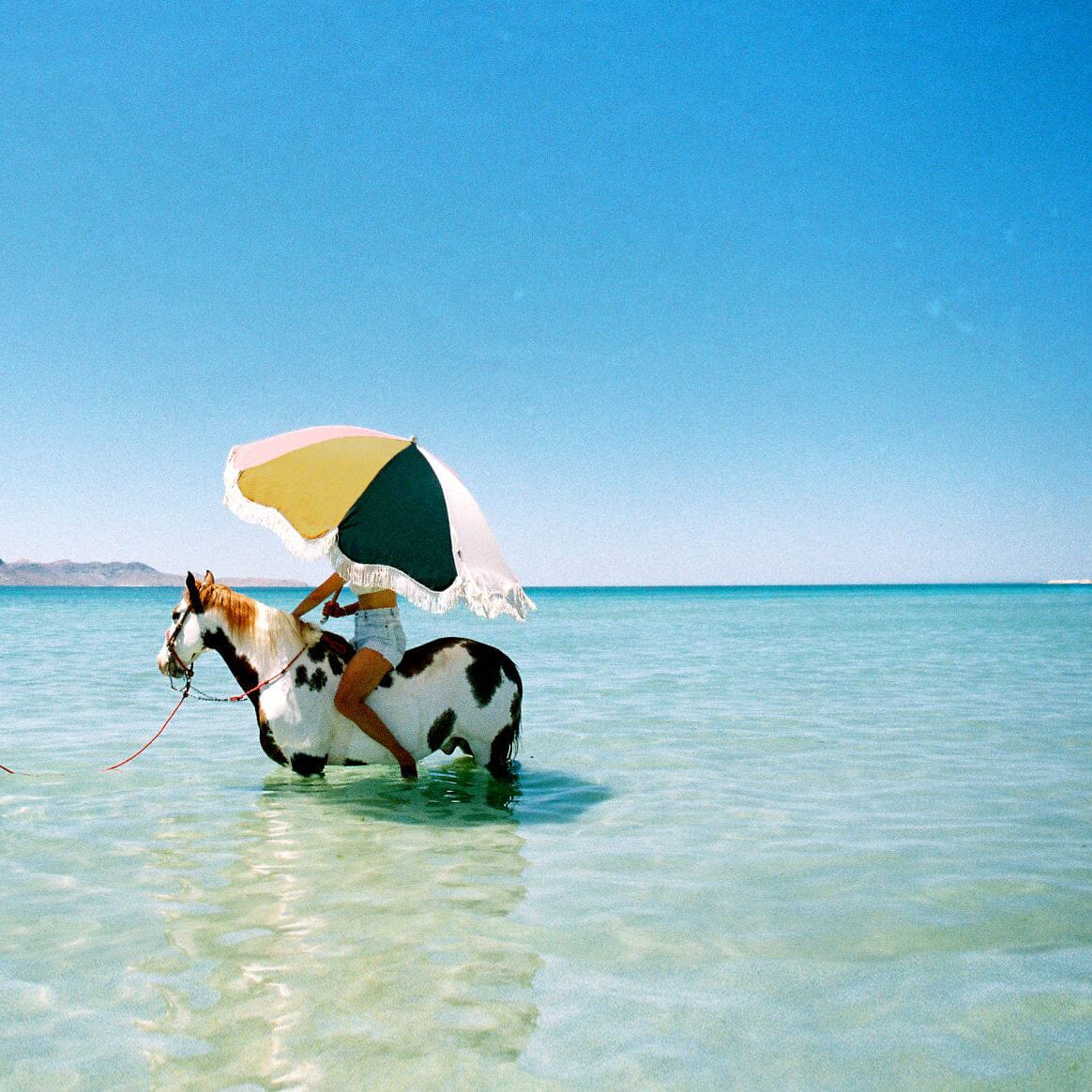 The Premium Beach Umbrella - 70's Panel Cinque