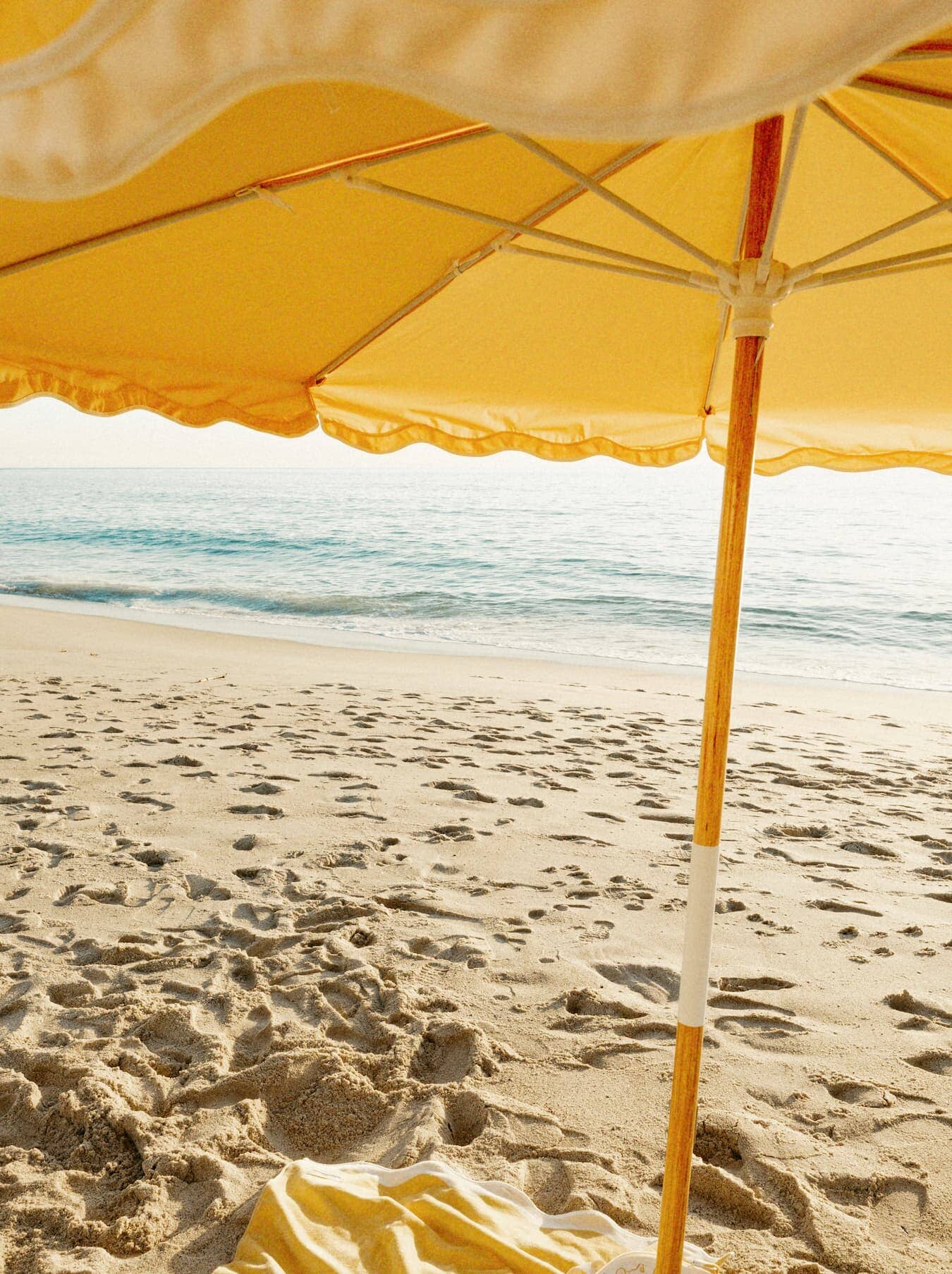Riviera mimosa umbrella on the beach