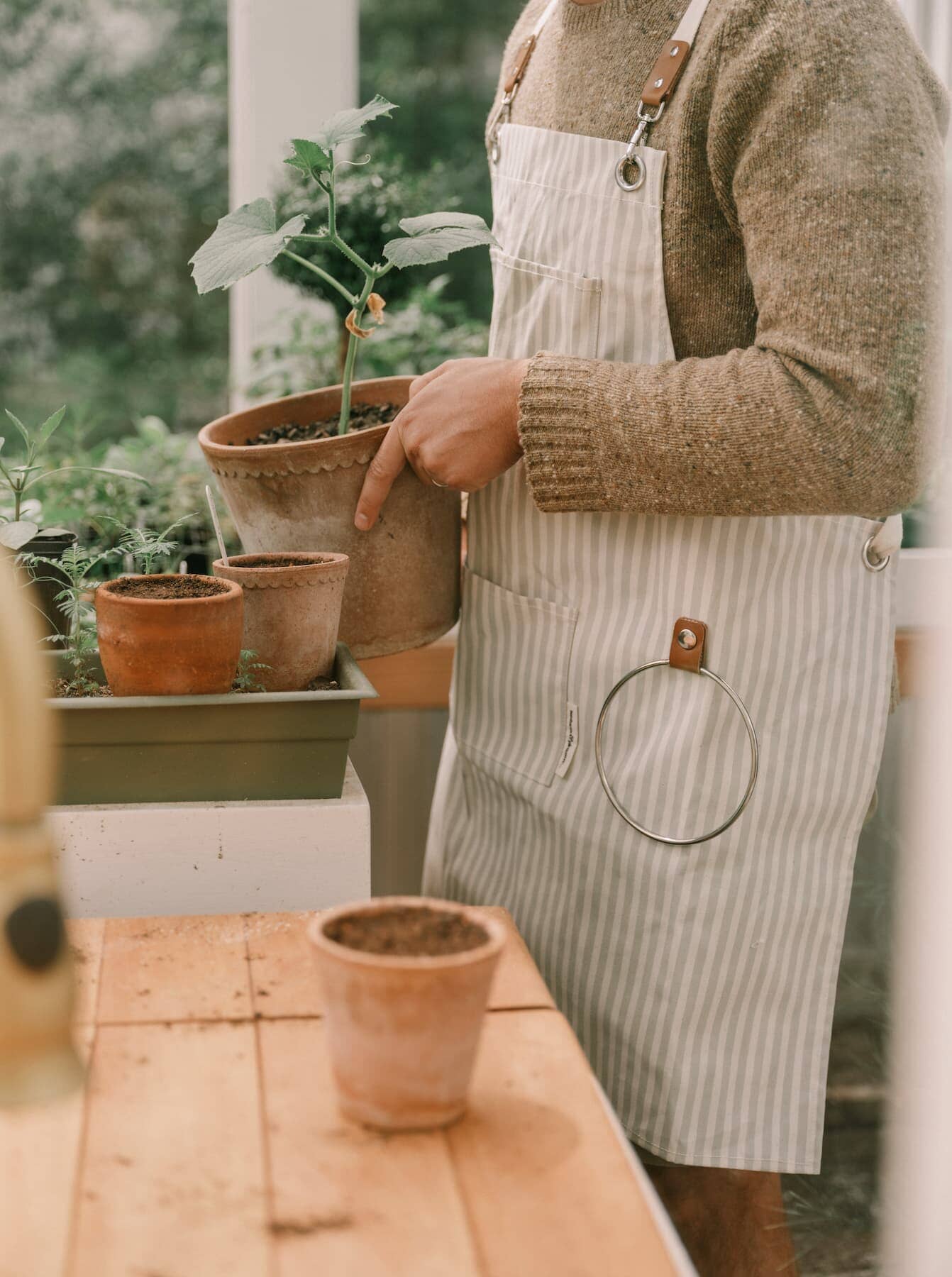 gardener in a potting shed wearing sage apron