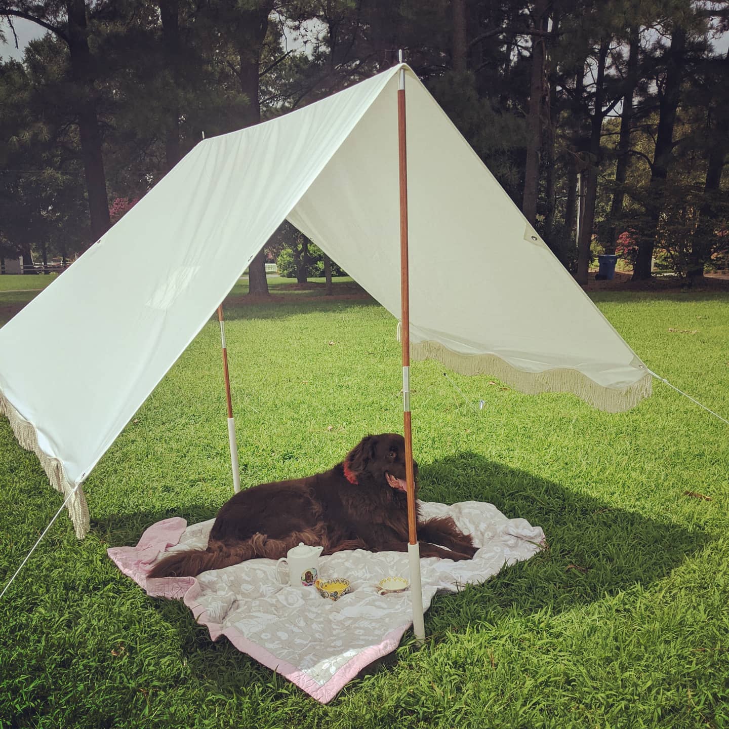 Beach tents for sale hotsell